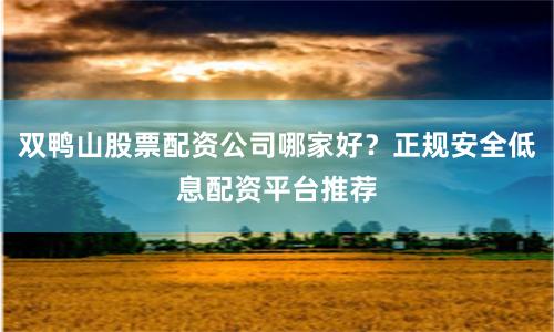 双鸭山股票配资公司哪家好？正规安全低息配资平台推荐